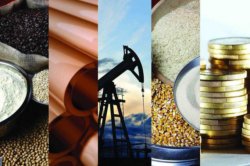 New Leaf Financial Consultants Commodity Trade