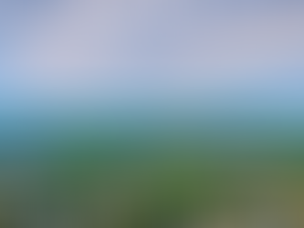 Looking out over homes and trees with a beautify cloudy sky