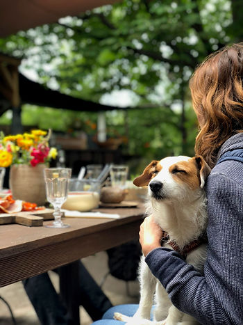 dog sitting in woman's lap while she is eating at an outdoor restaurant.