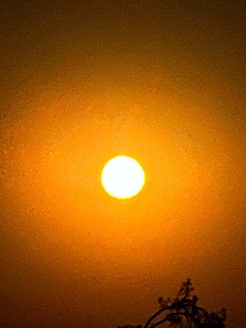 IMG_2340.jpeg