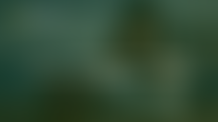 H-1 and J-1 Visa Tax Filing Guide: Common Mistakes, Residency Rules, and Late Filing Help