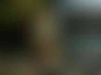 man proposing in front of beautiful waterfall, holding each other passionately