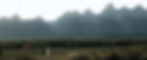 1U4A6279-Enhanced-NR_edited_edited_edited.jpg