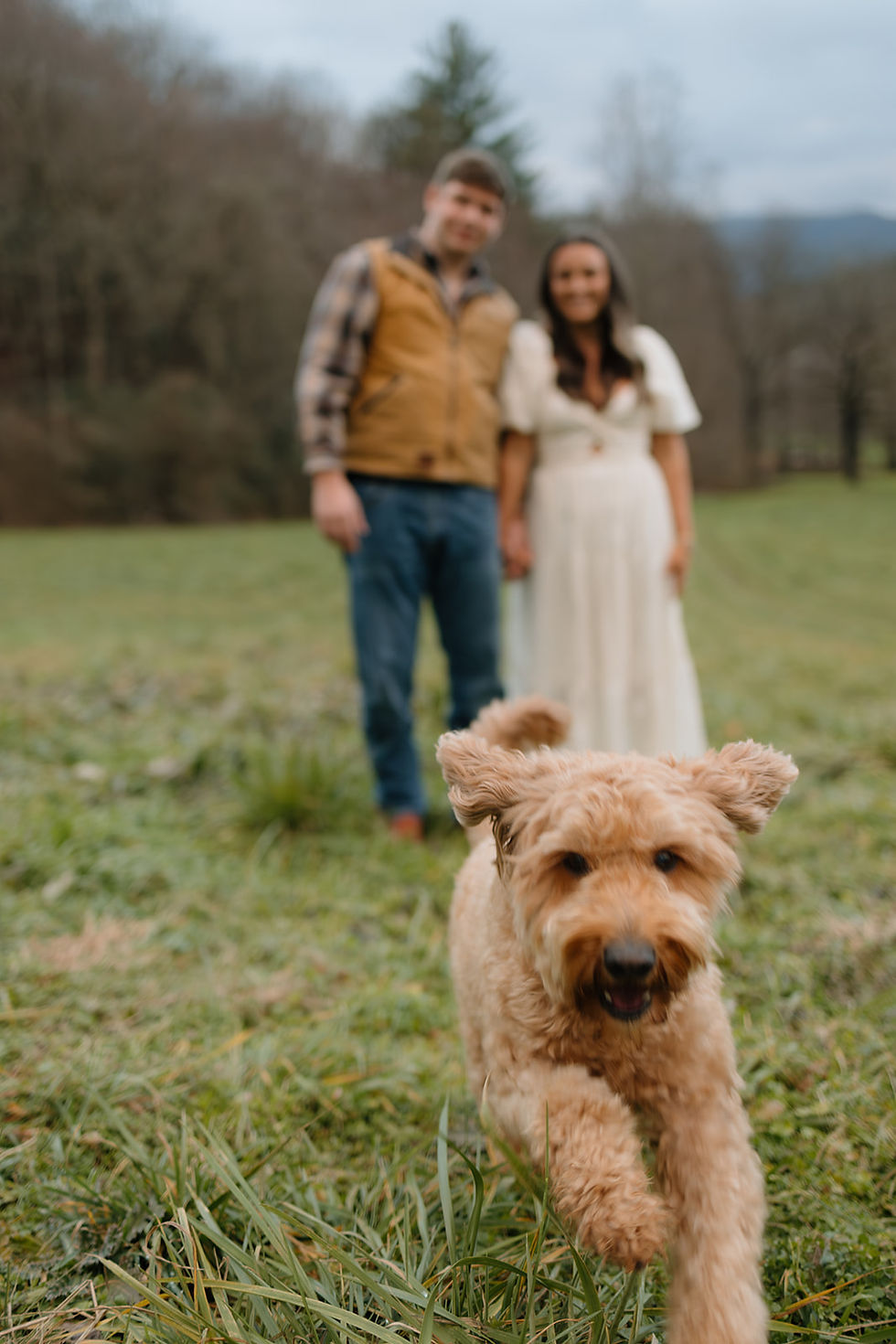 A fluffy dog runs joyfully in focus on grass, with a smiling couple blurred in the background holding hands in a field.