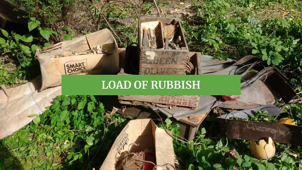 Load of rubbish banner.png