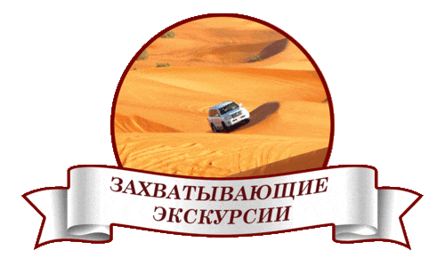 500x309_safari.gif
