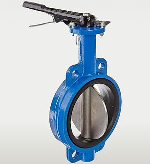 butterfly-valve_edited.jpg