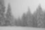 Snowy Day_edited.jpg