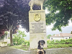 Descobrir Portugal com o seu pet 🐾 Monumento ao Cão Sabujo da Serra do Soajo, Soajo
