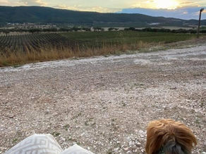 Turismo de Aldeia 🐾 Aldeia de São Gregório