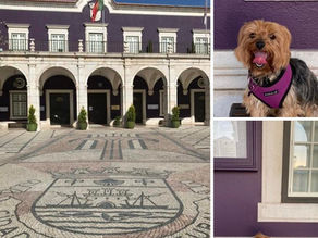 Descobre Portugal com o teu pet 🐾 Câmara Municipal de Setúbal