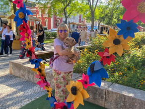 Acontece em Setúbal 🐾 Festa da Flor
