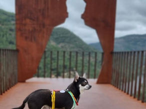 Miradouros de Portugal 🐾 S. Lourenço, Carrazeda de Ansiães