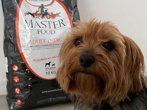 Pet produtos 🐾 Ração Master Food Portugal