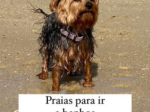 Praias para ir no Verão com o seu pet 🐾 Centro de Portugal