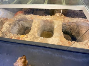 Descubra  Portugal com o seu pet 🐾Setúbal, a Cetóbriga romana