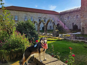 Descobrir Portugal com o seu pet 🐾 Braga