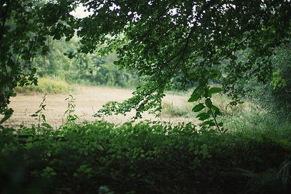IMG_7765_edited.png
