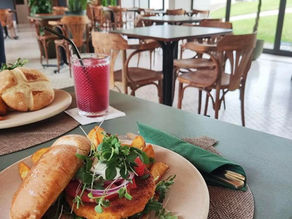 Restaurantes pet friendly 🐾 Luso