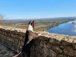 Espaços verdes na cidade 🐾 Jardim das Portas do Sol, Santarém