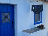 Turismo de Aldeia 🐾  a Casa do Tarro Aldeia de São Gregório