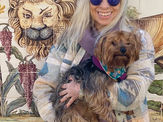 Portugal Pet Friendly 🐾