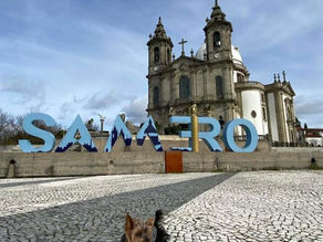 Descobrir Portugal com o seu pet 🐾 Santuário do Sameiro, Braga