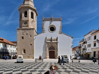 Descubra Portugal com o seu pet 🐾 Tomar