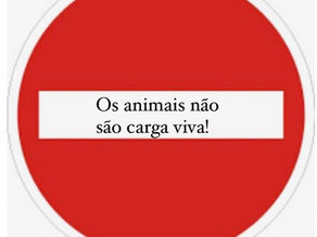 Manifesto Pet Friendly 🐾 os animais não são carga de porão!