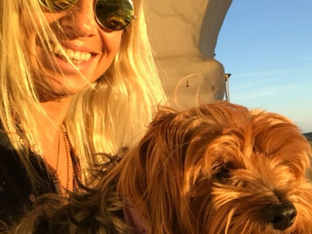 Manifesto  Pet Friendly Portugal 🐾