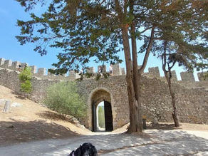 Descobrir Portugal com o seu pet 🐾 Castelo de Sesimbra