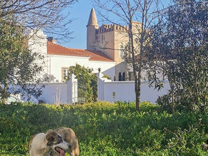 Alojamento Local Petfriendly 🐾 Torre da Giesteira, Évora