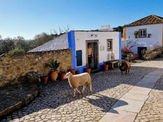 Restaurantes Pet Friendly 🐾 Tasquinha do Gil, Mafra