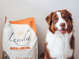 Sugestão Lenda 🐾 Alimentação Natural: O Segredo para uma Digestão Saudável do teu patudo