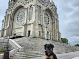 Descobrir Portugal com o seu pet🐾  Monte de Santa Luzia, Viana do Castelo