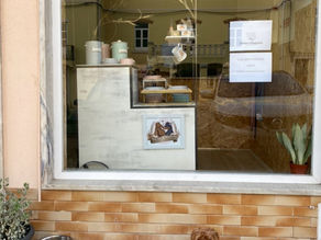 Pet Shop 🐾 Oliver Baguera, Setúbal