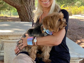 Portugal Pet Friendly 🐾