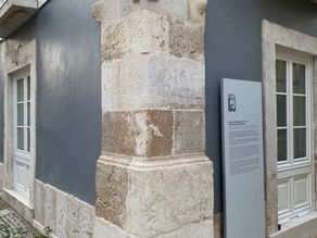 Descubra Setúbal com o seu pet 🐾 Casa das Quatro Cabeças