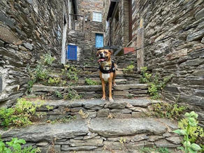 Descobrir Portugal com o seu pet 🐾 Piodão, Arganil