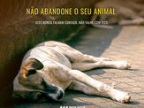 Dia Internacional do Animal Abandonado