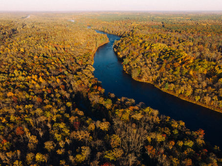 Unplugging in the Woods: 5 Reasons to Escape to the Woods for a Vacation