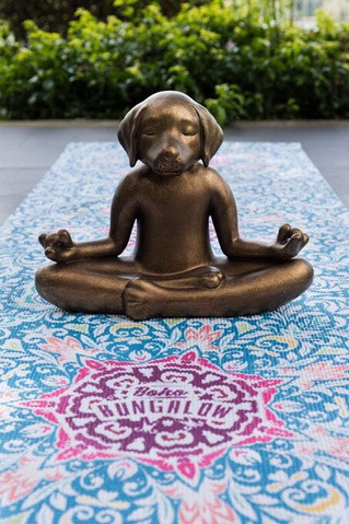 Yoga & Meditación sobre Mándalas