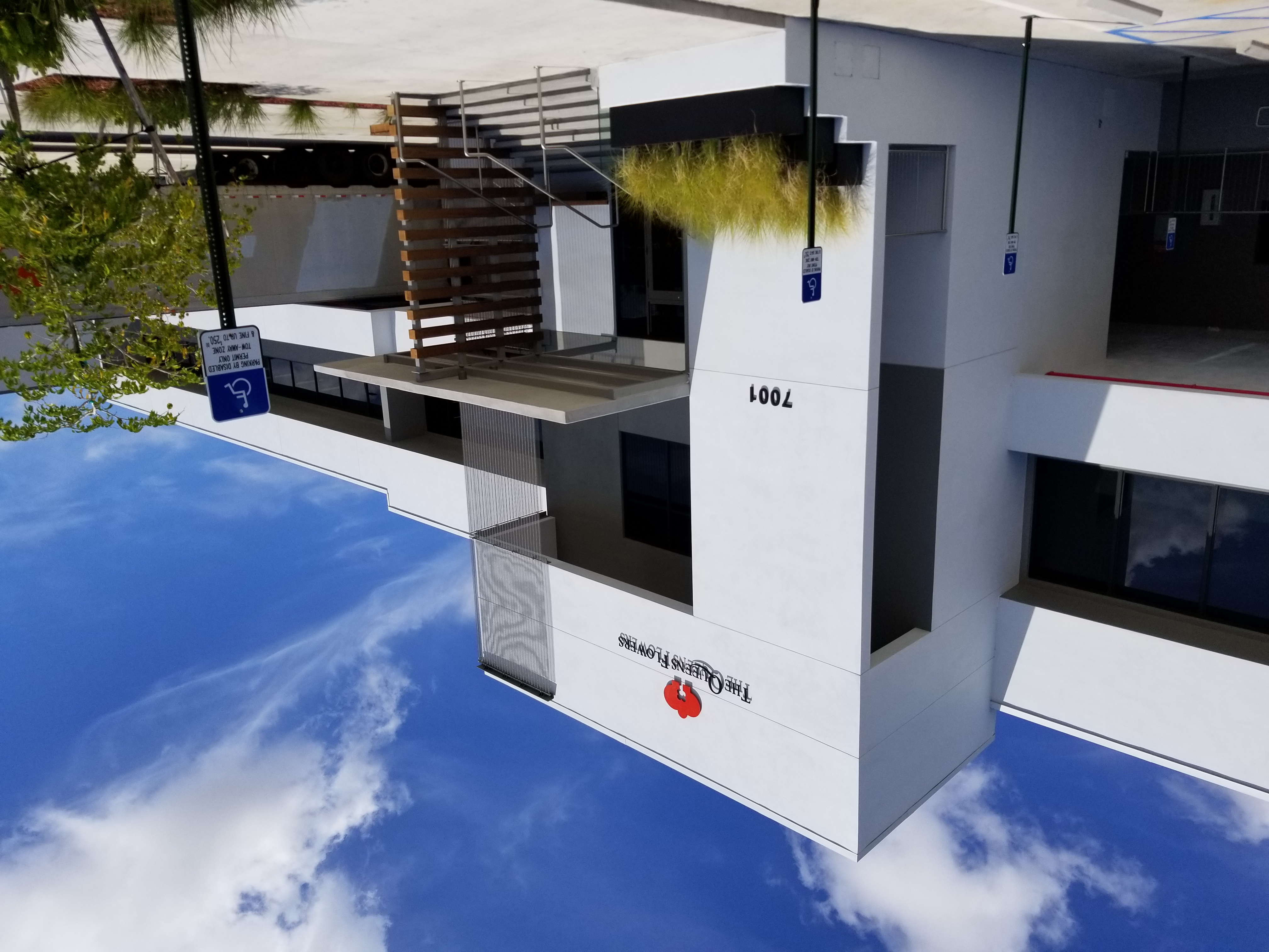 Fresh Cut Flowers The Queen's Flowers United States