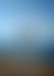 Salutiamo con grande amore don Andreas trasferito nella parrocchia di San Pio X