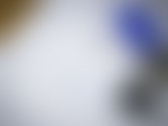 Melbourne Housing Market Update