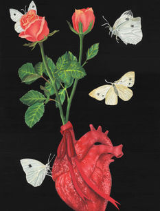 ORGANS: Heart Illustration