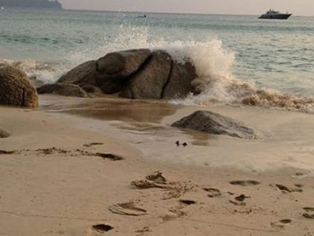 Il reste quelques places pour ce dimanche