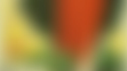 Le pouvoir de la visualisation et la science