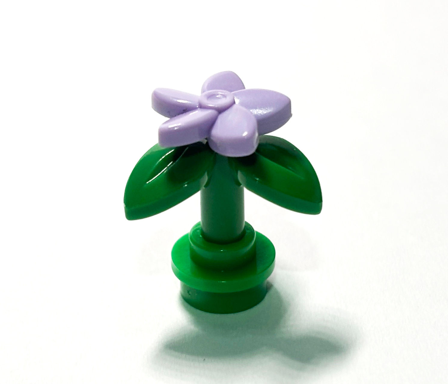 Purple Flower garden green plant Piece