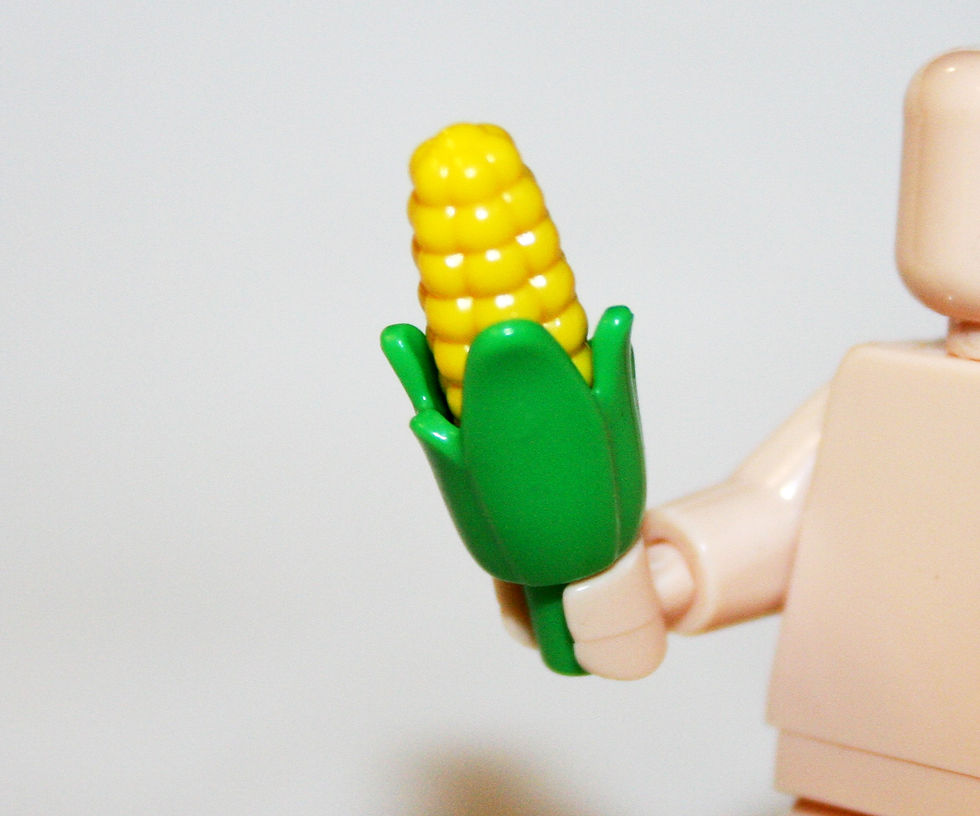 Corn on the Cob Food plant piece
